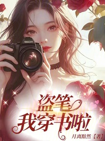 盜筆我穿書了小說