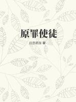 原罪使徒小說