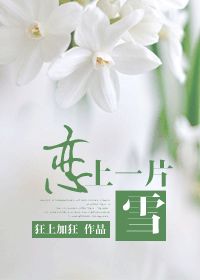 戀上一片雪小說全文免費