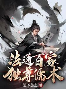 獨尊儒術小說