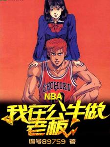 小說nba我在公牛做老闆