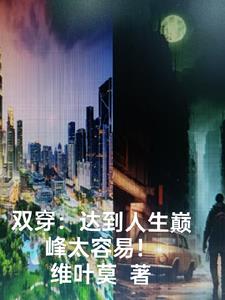 經典雙穿小說