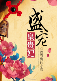 盛寵皇貴妃書評