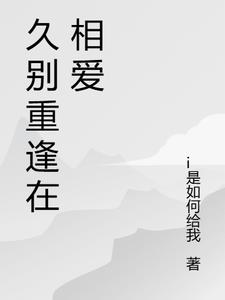 久別重逢破鏡重圓小說