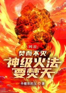 關於火神大我的小說