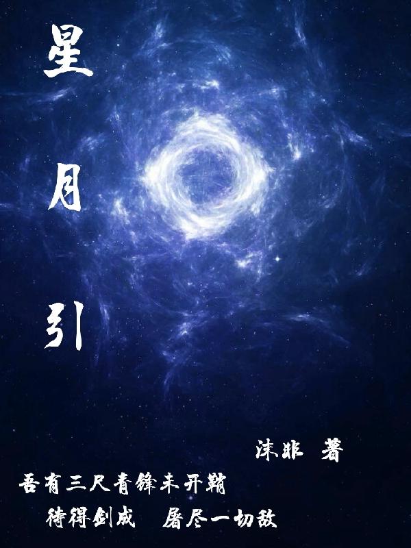 星月引雪光小說