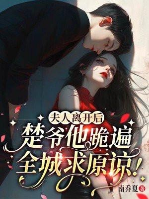 夫人離去小說