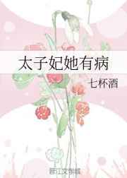 太子妃追夫記小說