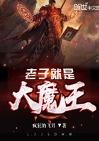 老子就是大魔王原著